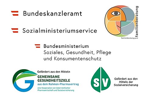 Foto: Grafik Logos Fördergeber HPE Ö