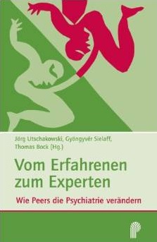 Cover Buch Vom Erfahrenen zum Experten